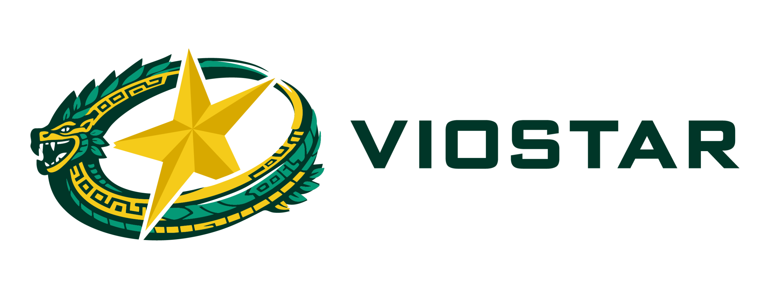 VioStar_Logo_Standard_Horizontal