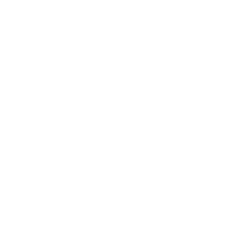 Team Environment With Clear Standards​